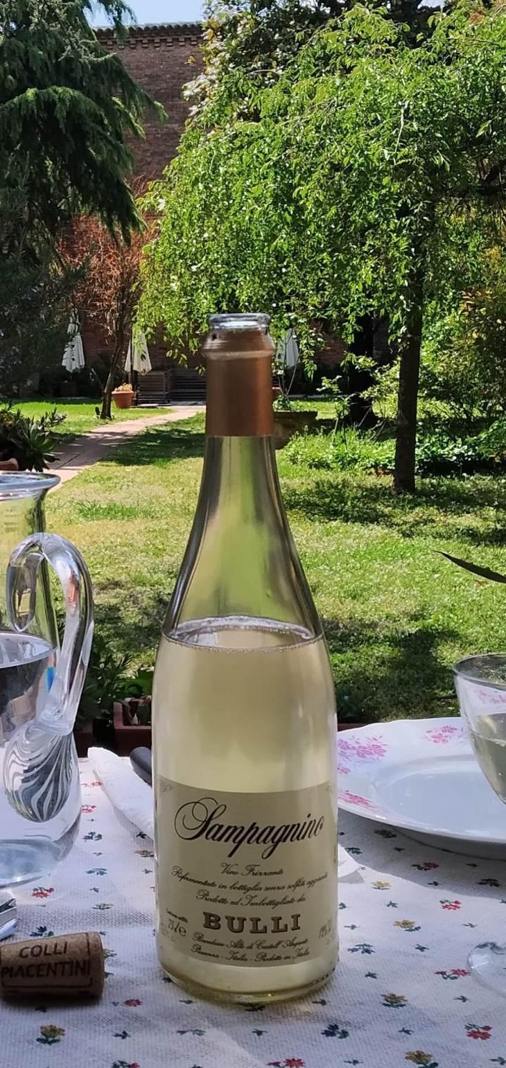 SAMPAGNINO - Azienda Vitivinicola Bulli - Leonardo Bulli 