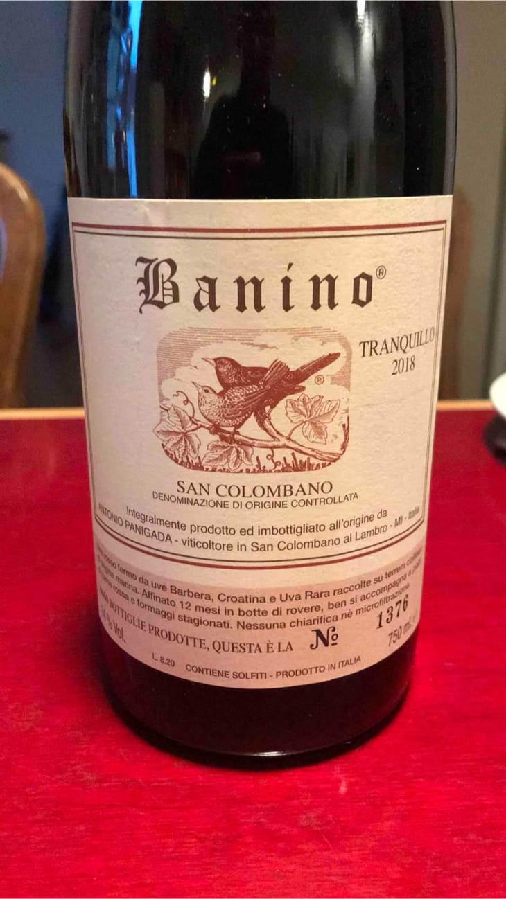 San Colombano Tranquillo - San Colombano Al Lambro - Antonio Panigada 