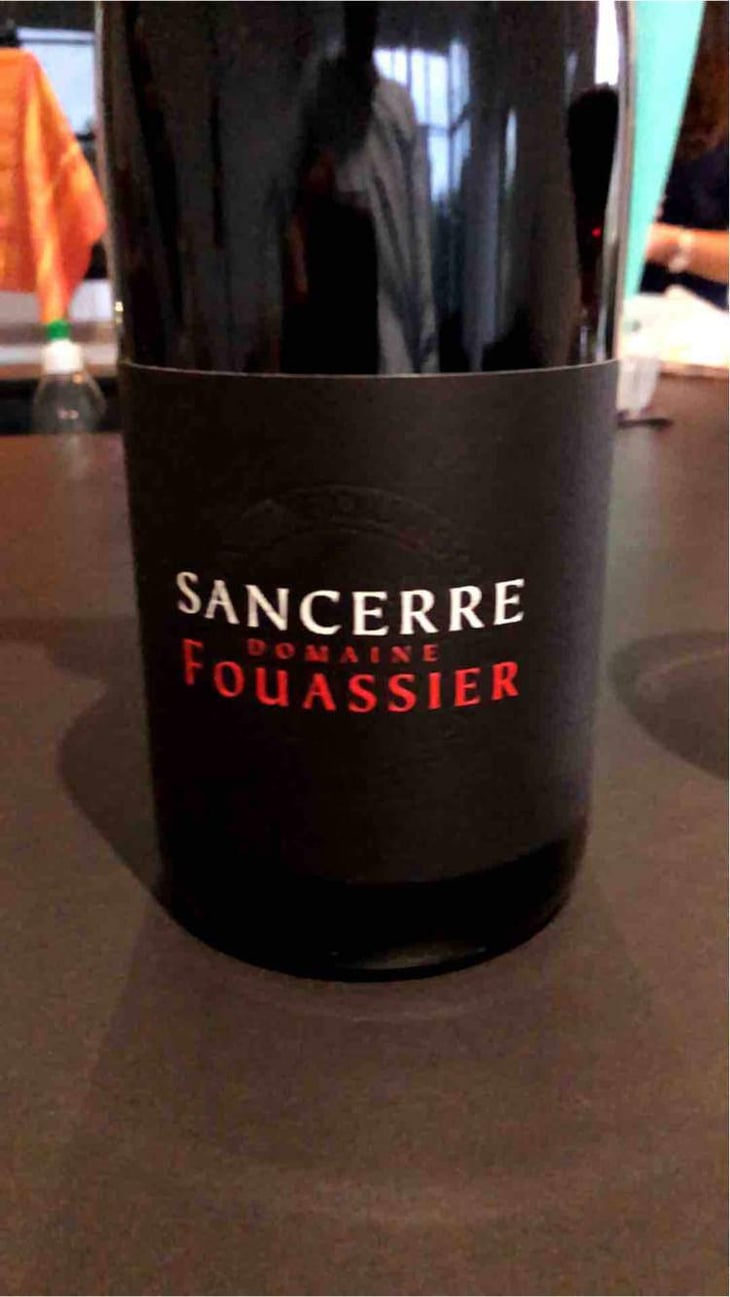 Sancerre Rouge - Fouassier - Benoit & Paul Fouassier 