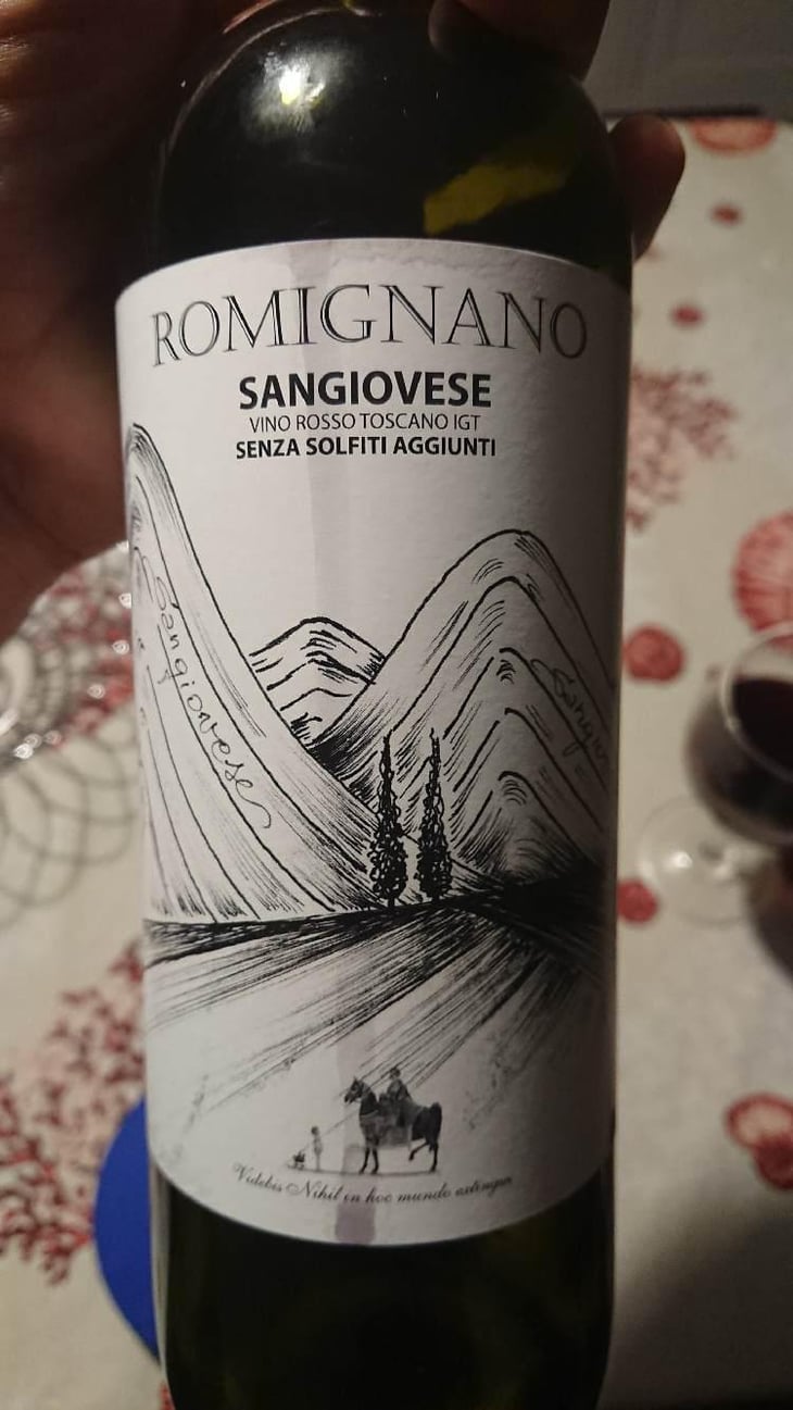 Sangiovese 2020 - Romignano - Romignano 