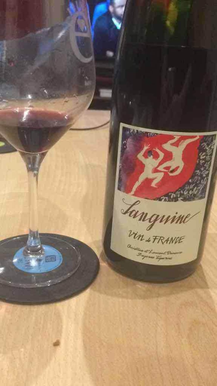 Sanguine - Vin & Pic - Laurent & Christine Demeure, Pierre Rolle -2018