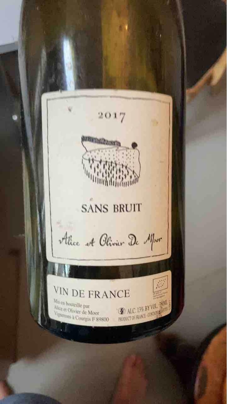 Sans Bruit - Alice & Olivier De Moor - Alice & Olivier De Moor 