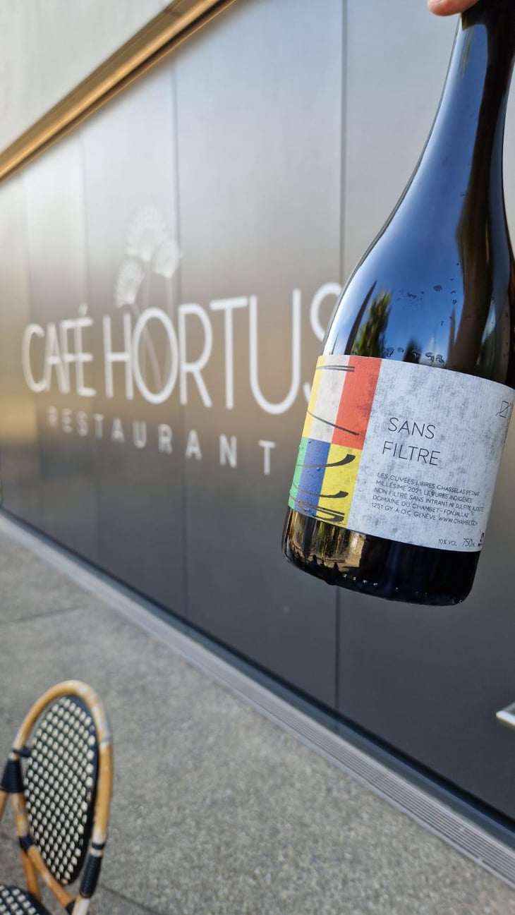 Sans Filtre - Pet Nat - Domaine du Chambet - Anthony Fonjallaz -2021