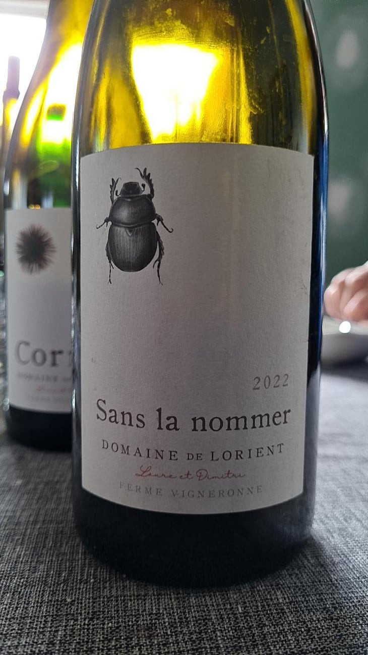 Sans la nommer - Domaine De Lorient - Laure Colombo & Dimitri Roulleau-Gallais -2022