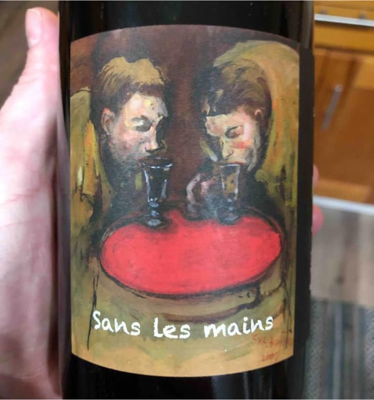 Sans Les Mains - Domaine Frédéric Mabileau - Rémy Mabileau 