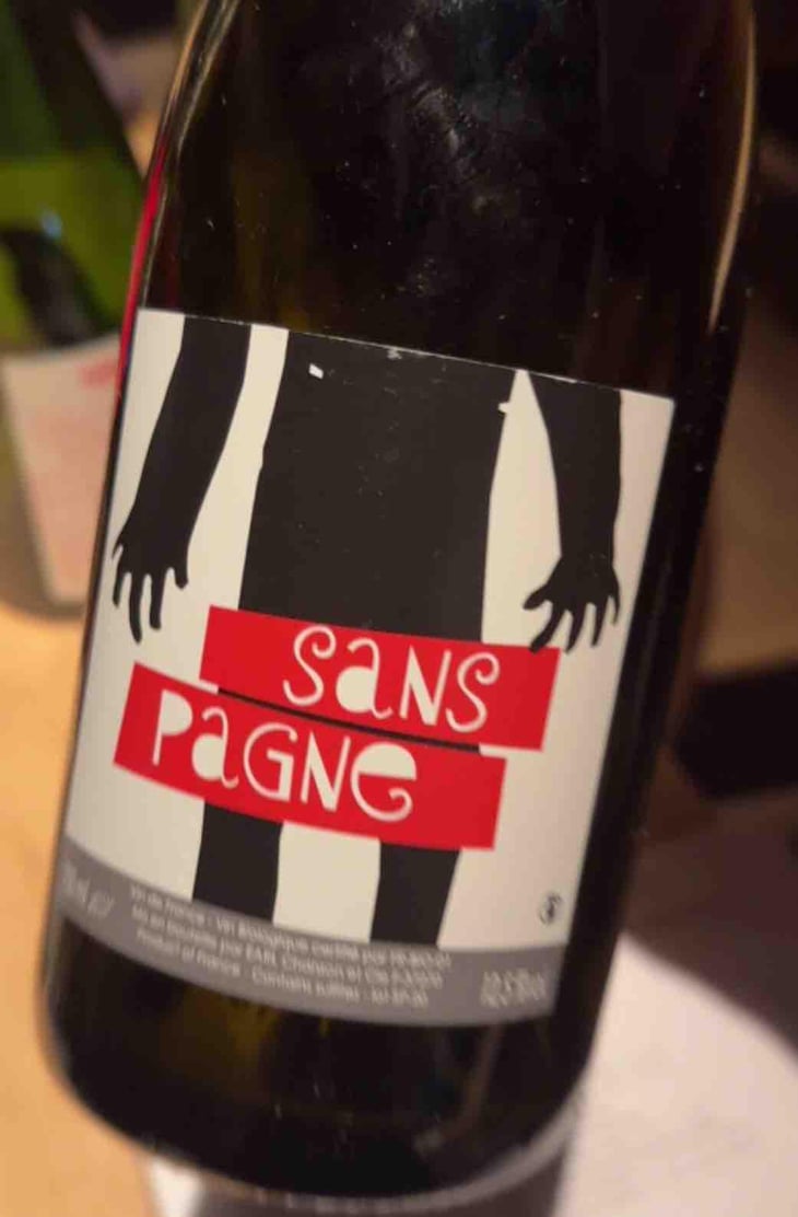 Sans Pagne - Ludovic Chanson - Ludovic Chanson 