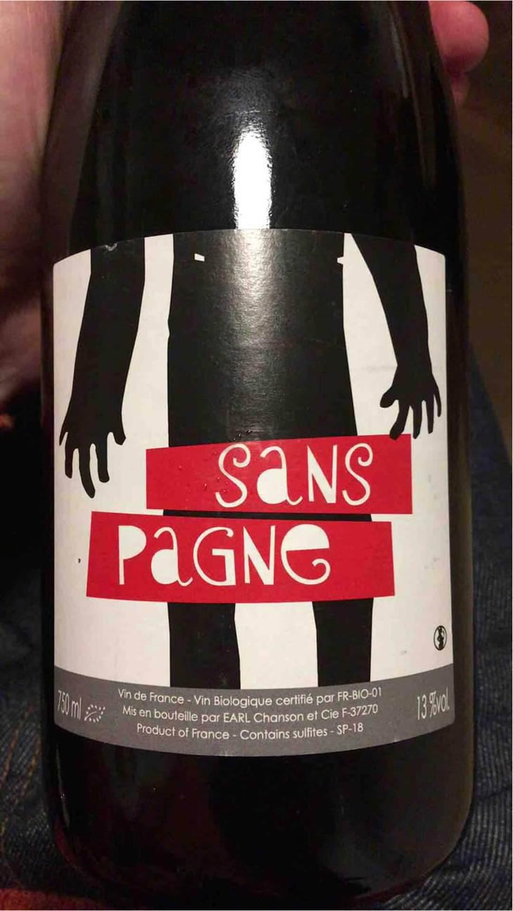 Sans Pagne - Ludovic Chanson - Ludovic Chanson 