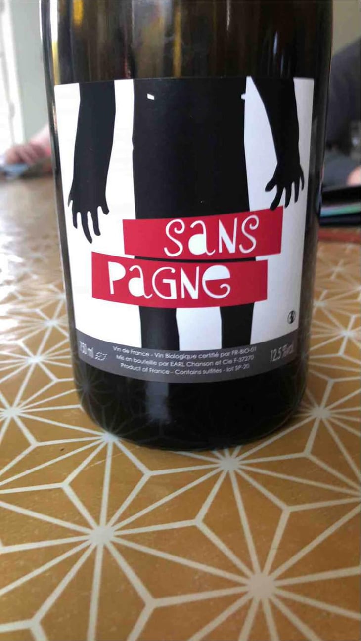 Sans Pagne - Ludovic Chanson - Ludovic Chanson 