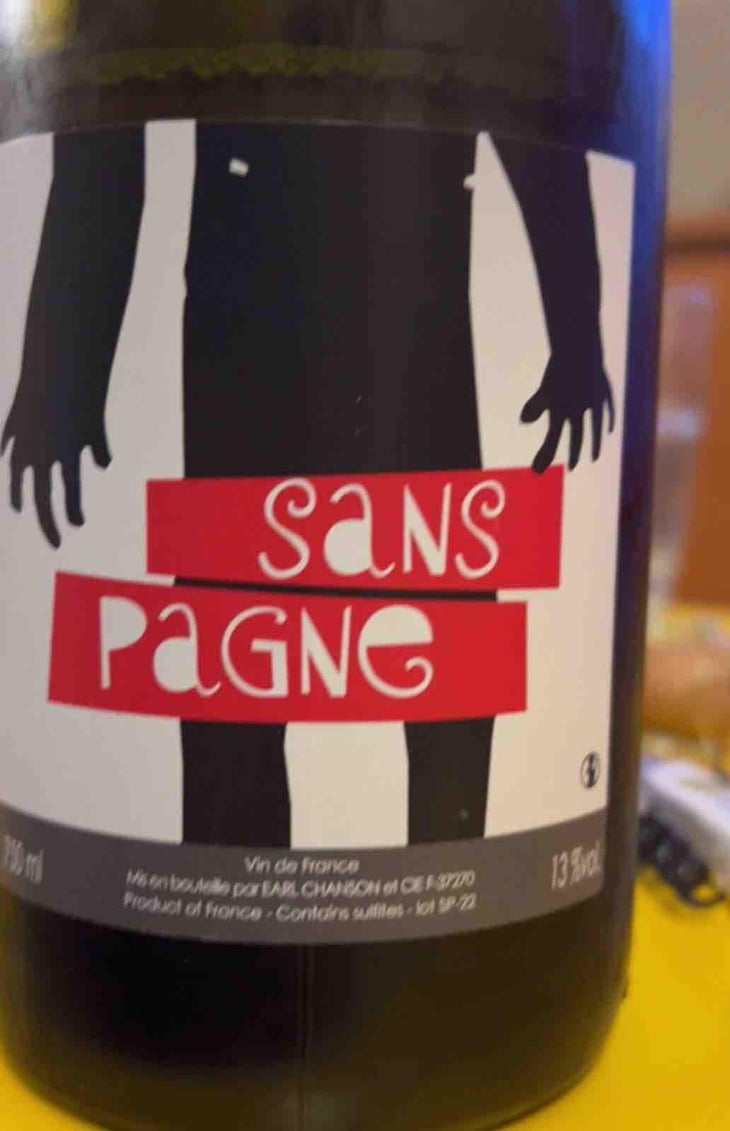 Sans Pagne - Ludovic Chanson - Ludovic Chanson 