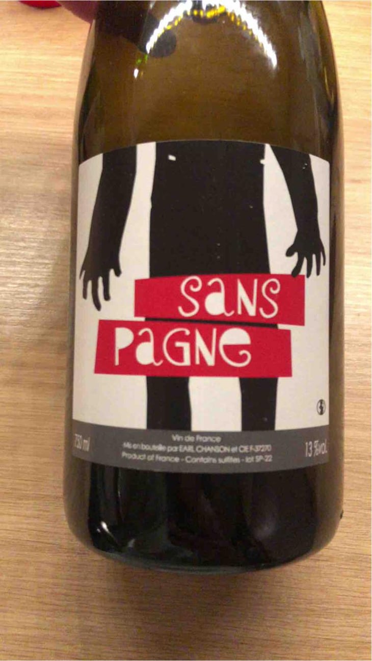 Sans Pagne - Ludovic Chanson - Ludovic Chanson 