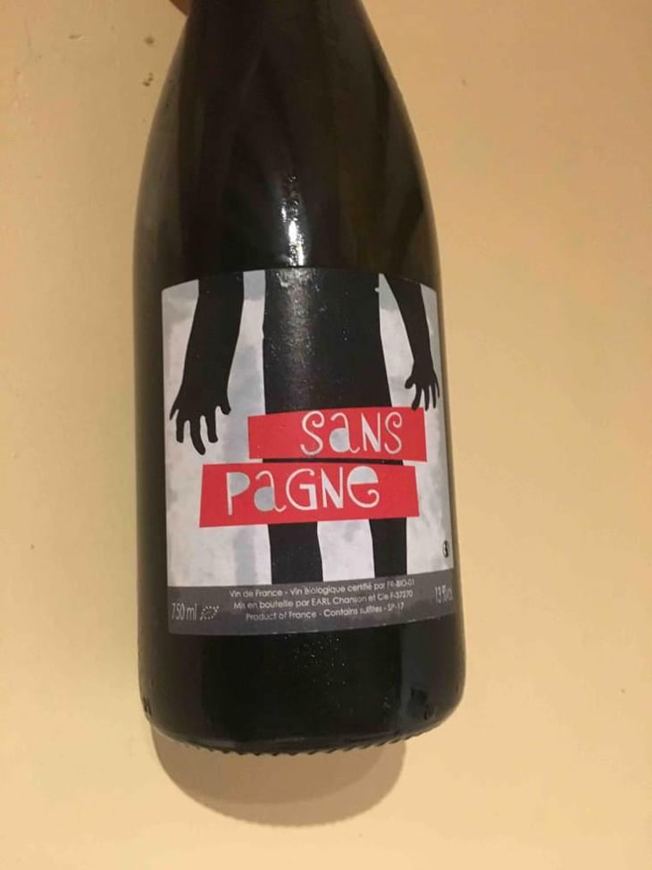 Sans Pagne - Ludovic Chanson - Ludovic Chanson 