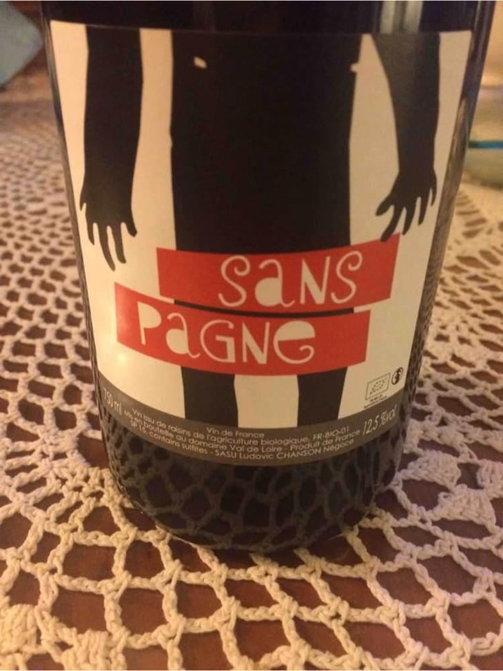 Sans Pagne - Ludovic Chanson - Ludovic Chanson 