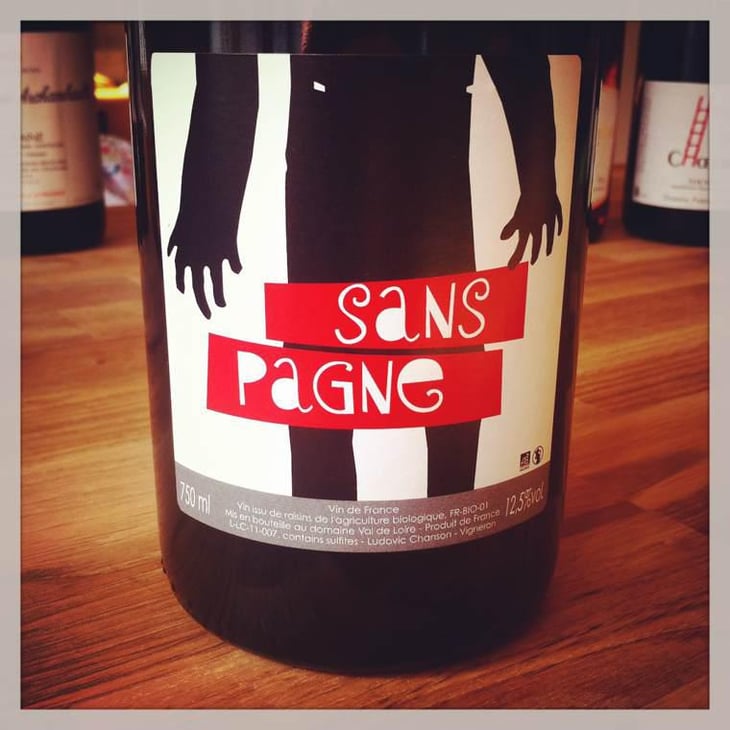 Sans Pagne - Ludovic Chanson - Ludovic Chanson 