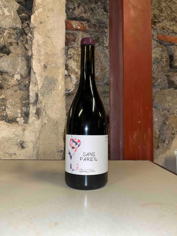 Sans Pareil - Les Vins De Belema - Yann Pernuit -2022