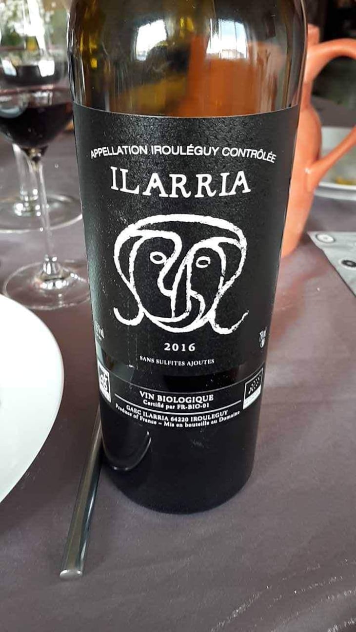 "Sans Soufre" Rouge - Domaine Ilarria - Peio Espil 
