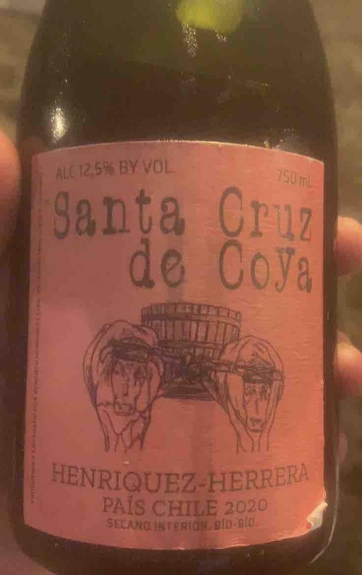 Santa Cruz De Coya - Roberto Henriquez - Roberto Henriquez 