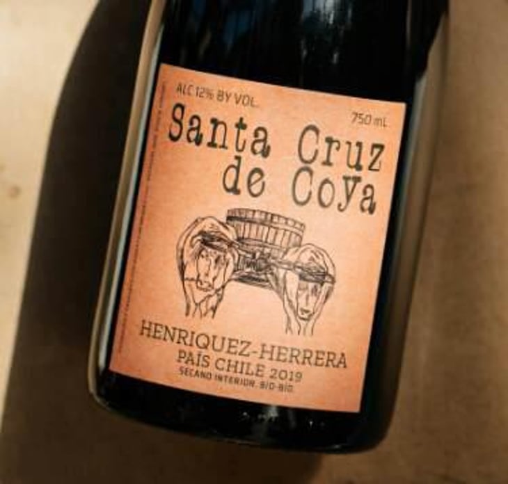 Santa Cruz De Coya - Roberto Henriquez - Roberto Henriquez 