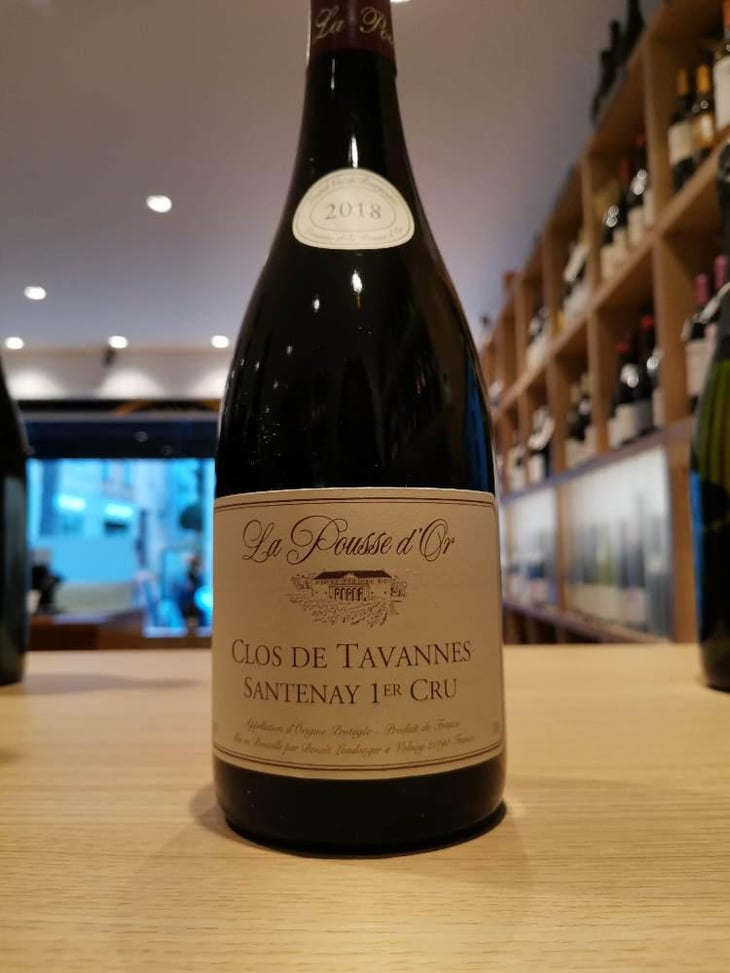 Santenay 1er Cru Clos Tavannes - Domaine De La Pousse D’or - Benoit Landanger 