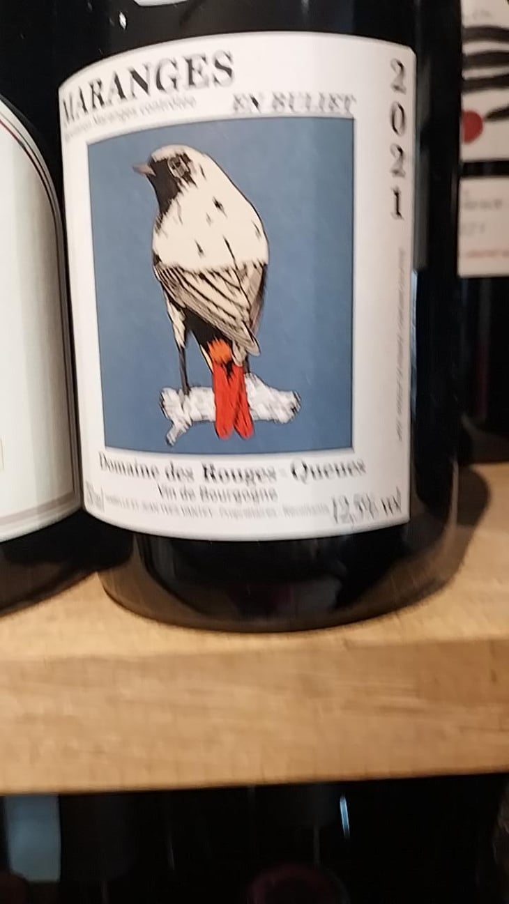 Santenay - Domaine des Rouges-Queues - Isabelle & Jean-Yves Vantey 
