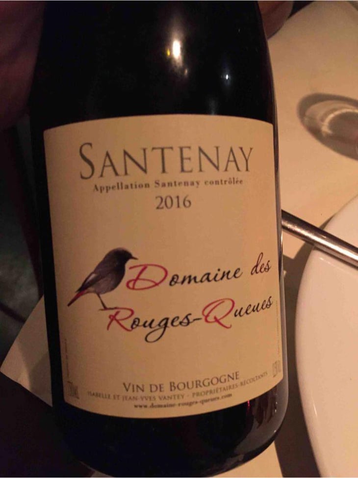 Santenay - Domaine des Rouges-Queues - Isabelle & Jean-Yves Vantey 