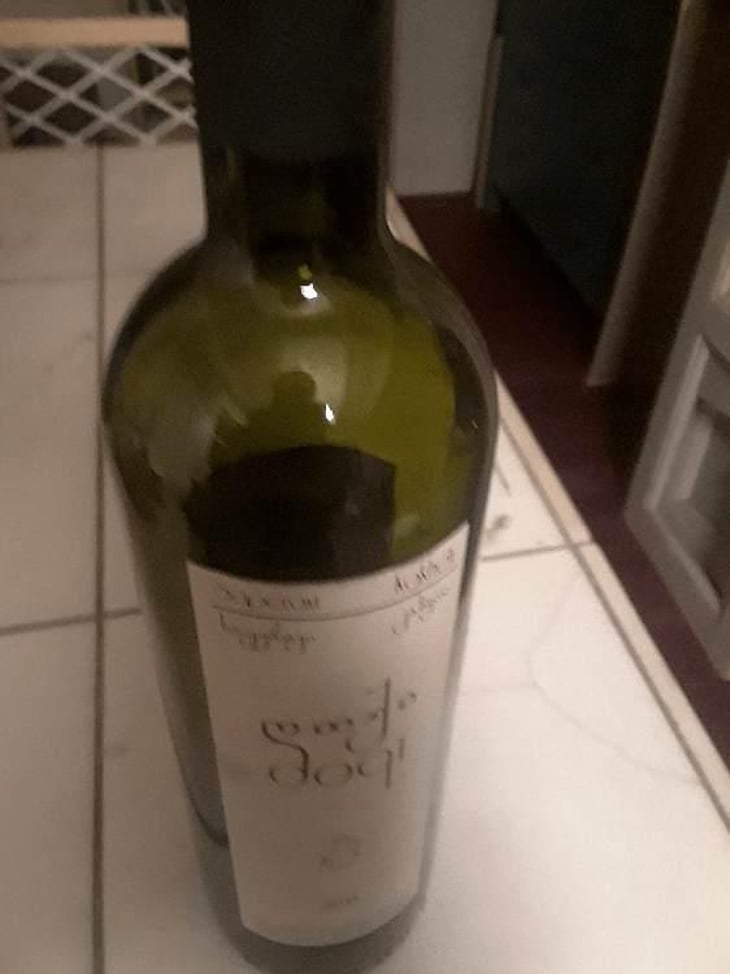 Saperavi Kahketi - Dakishvili Family Vineyard - Dakishvili 