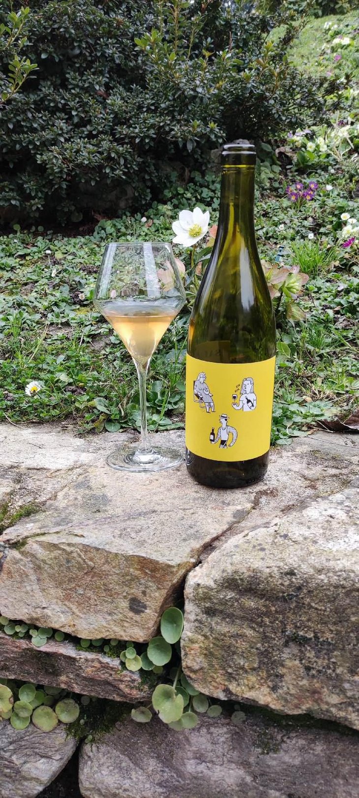 SARAU Blanc - Celler RIM - Jordi Esteve 