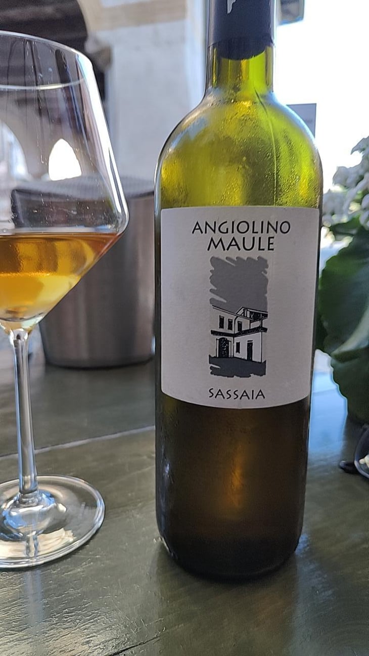 Sassaia - Azienda Agricola La Biancara - Angiolino Maule 