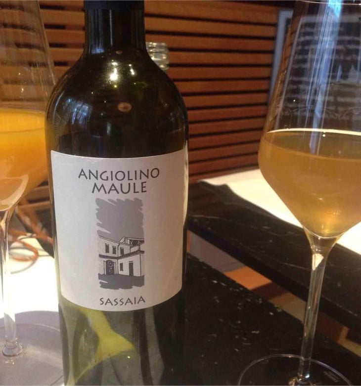Sassaia - Azienda Agricola La Biancara - Angiolino Maule 