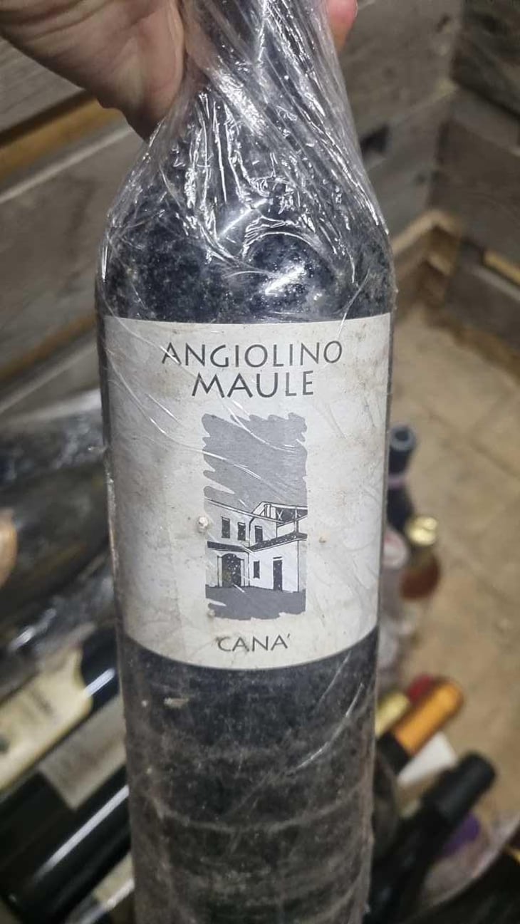 Sassaia - Azienda Agricola La Biancara - Angiolino Maule 