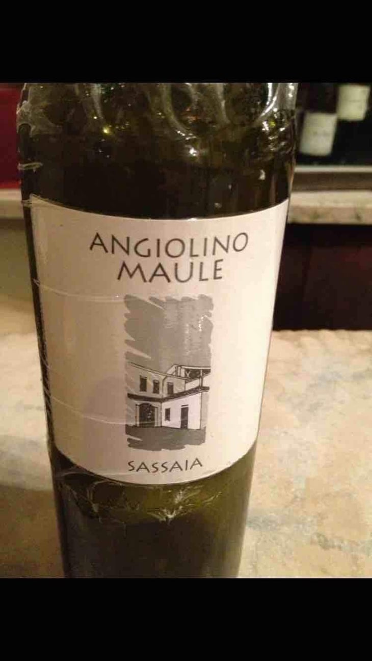 Sassaia - Azienda Agricola La Biancara - Angiolino Maule 