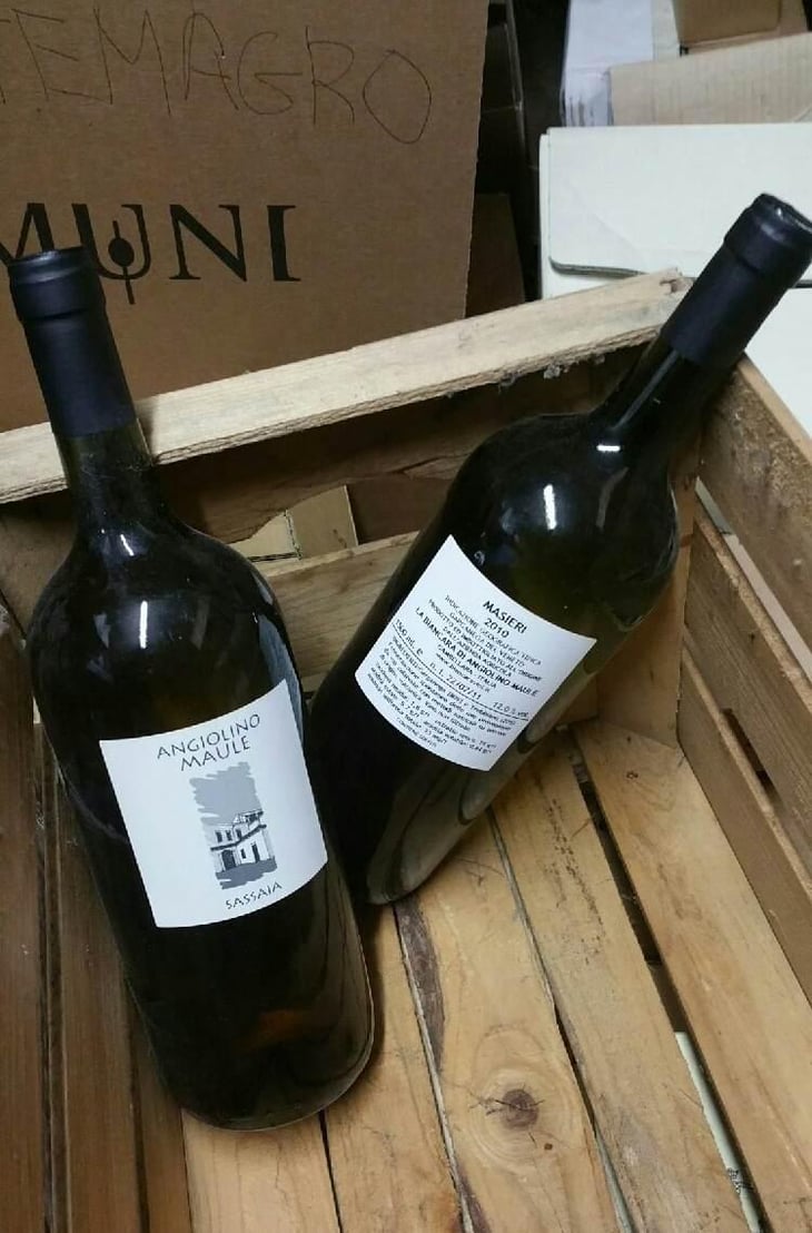 Sassaia - Azienda Agricola La Biancara - Angiolino Maule 