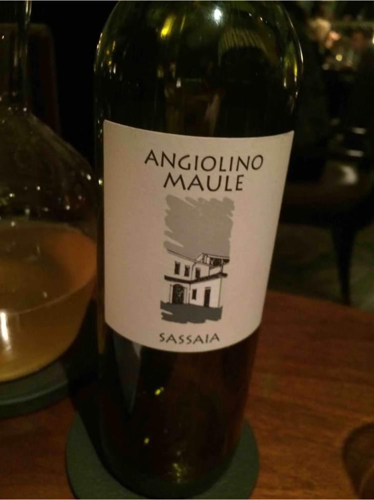 Sassaia - Azienda Agricola La Biancara - Angiolino Maule 
