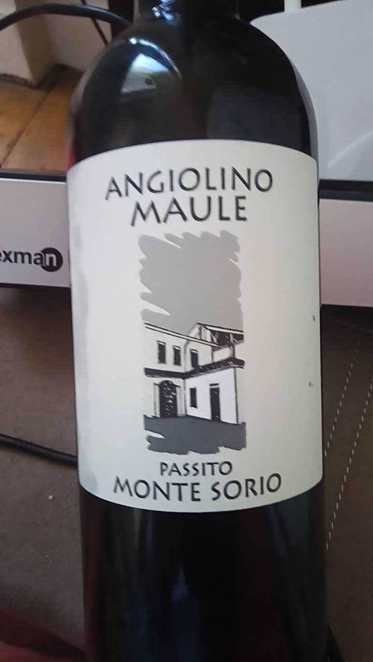 Sassaia - Azienda Agricola La Biancara - Angiolino Maule 