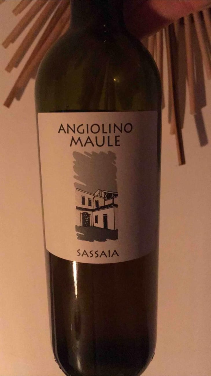 Sassaia - Azienda Agricola La Biancara - Angiolino Maule 