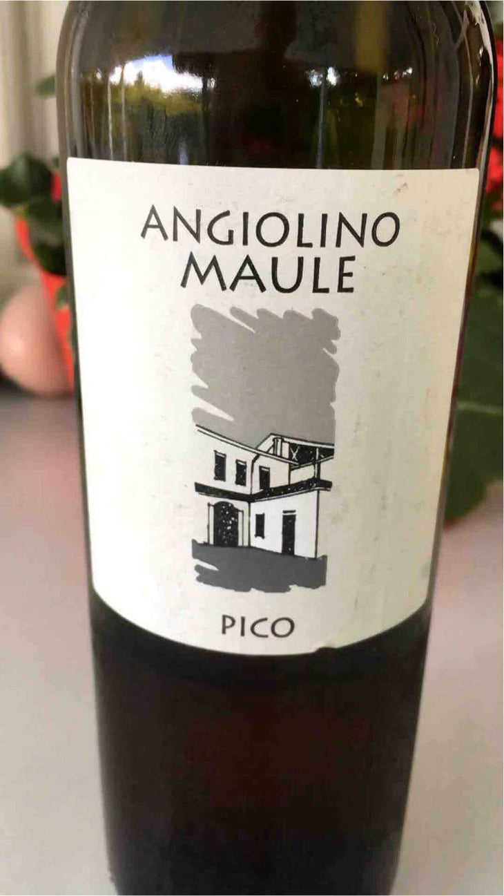 Sassaia - Azienda Agricola La Biancara - Angiolino Maule 