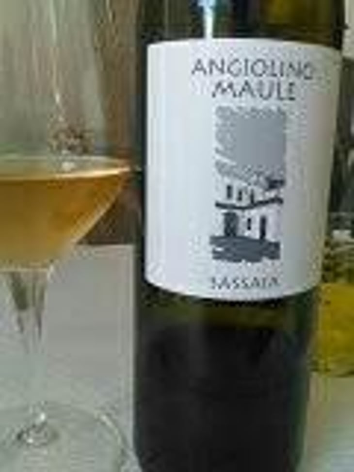 Sassaia - Azienda Agricola La Biancara - Angiolino Maule 