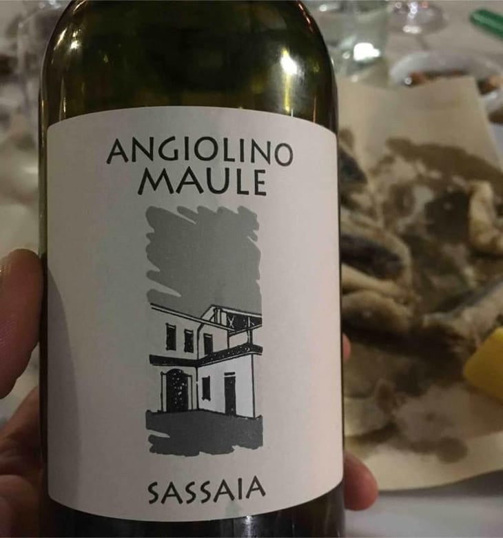 Sassaia - Azienda Agricola La Biancara - Angiolino Maule 