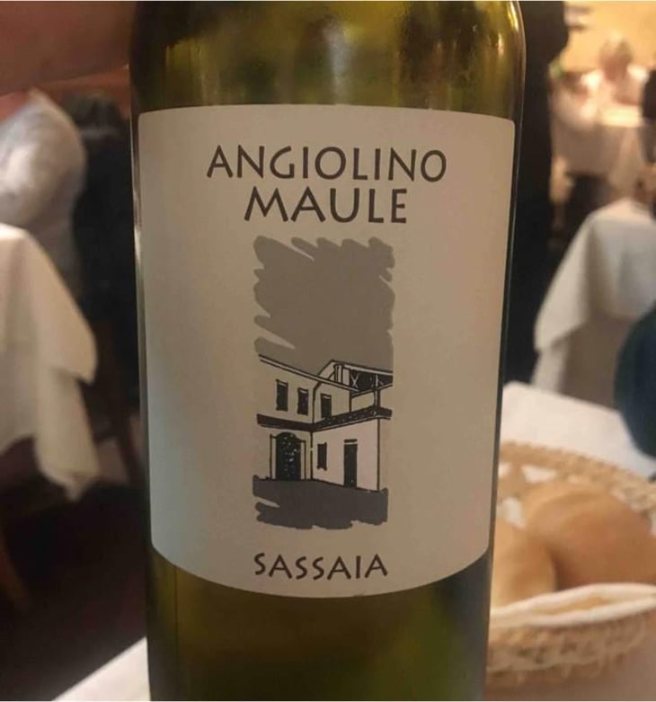 Sassaia - Azienda Agricola La Biancara - Angiolino Maule 