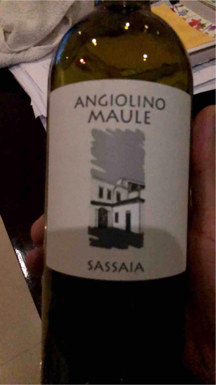 Sassaia - Azienda Agricola La Biancara - Angiolino Maule 
