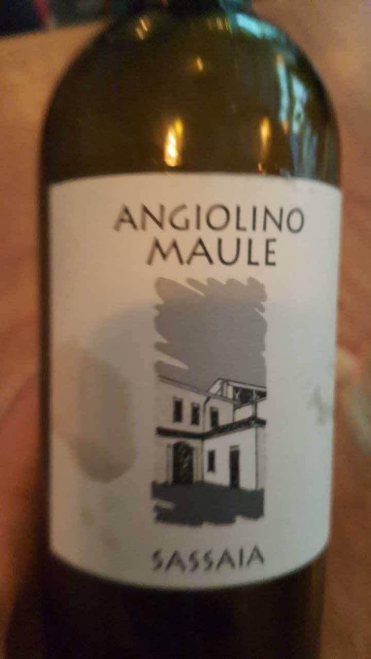 Sassaia - Azienda Agricola La Biancara - Angiolino Maule 