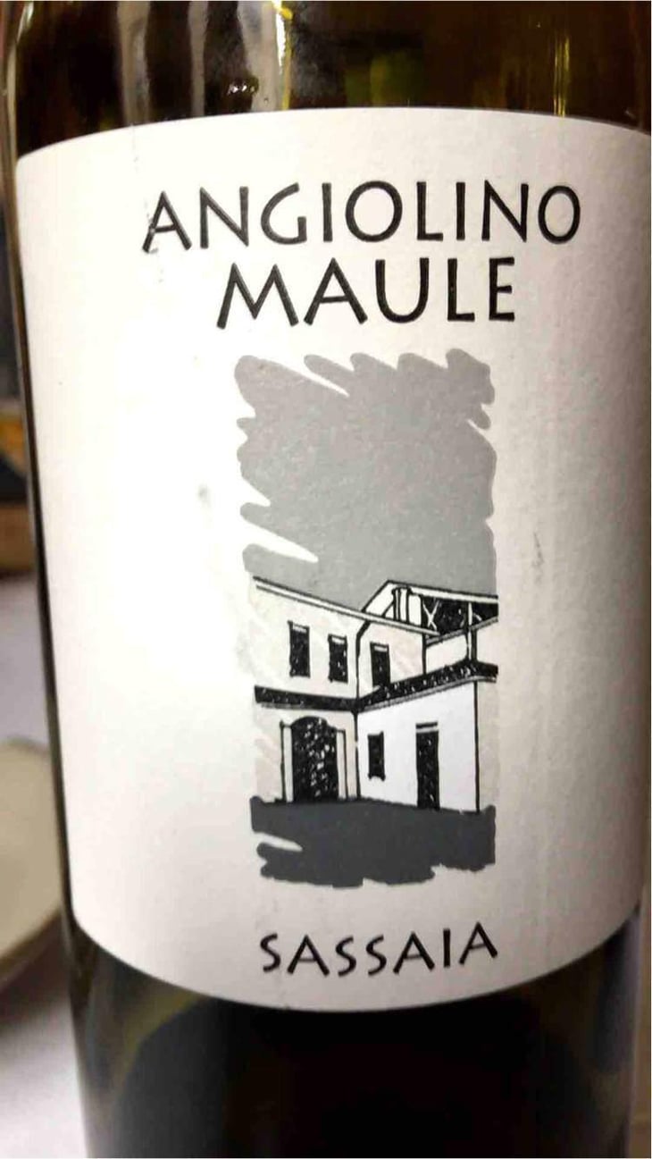 Sassaia - Azienda Agricola La Biancara - Angiolino Maule 
