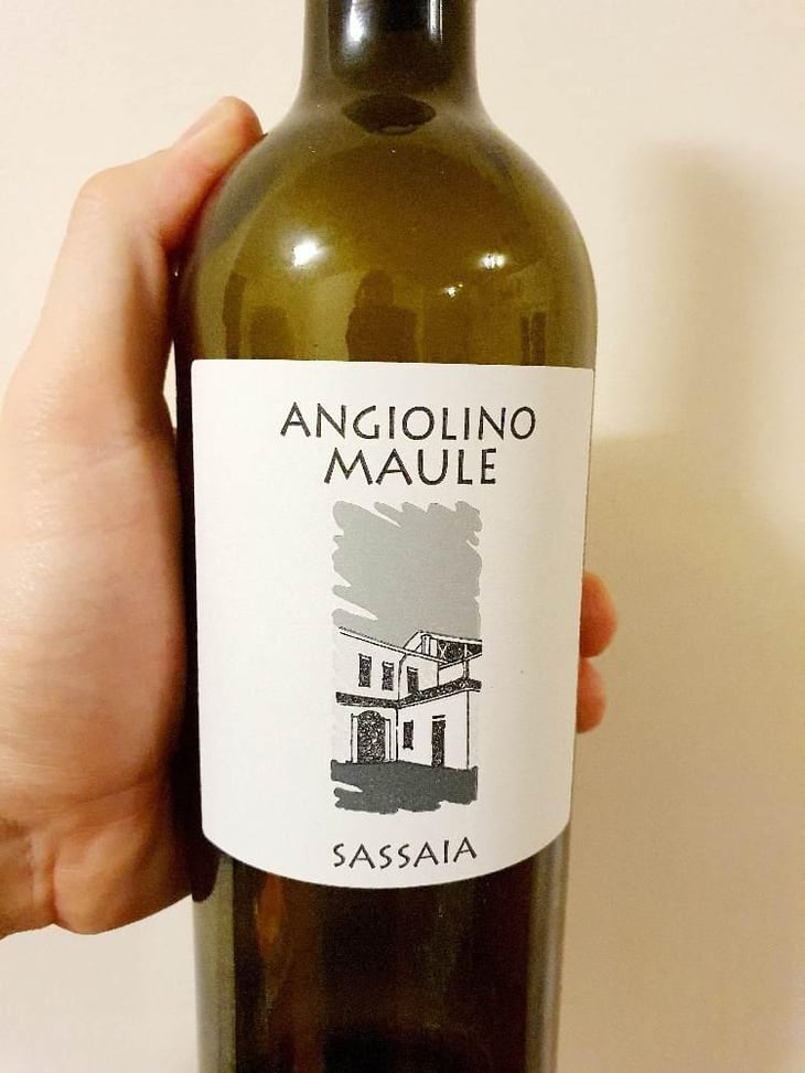 Sassaia - Azienda Agricola La Biancara - Angiolino Maule 