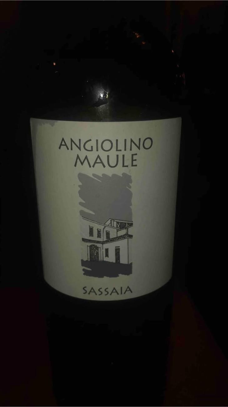 Sassaia - Azienda Agricola La Biancara - Angiolino Maule 
