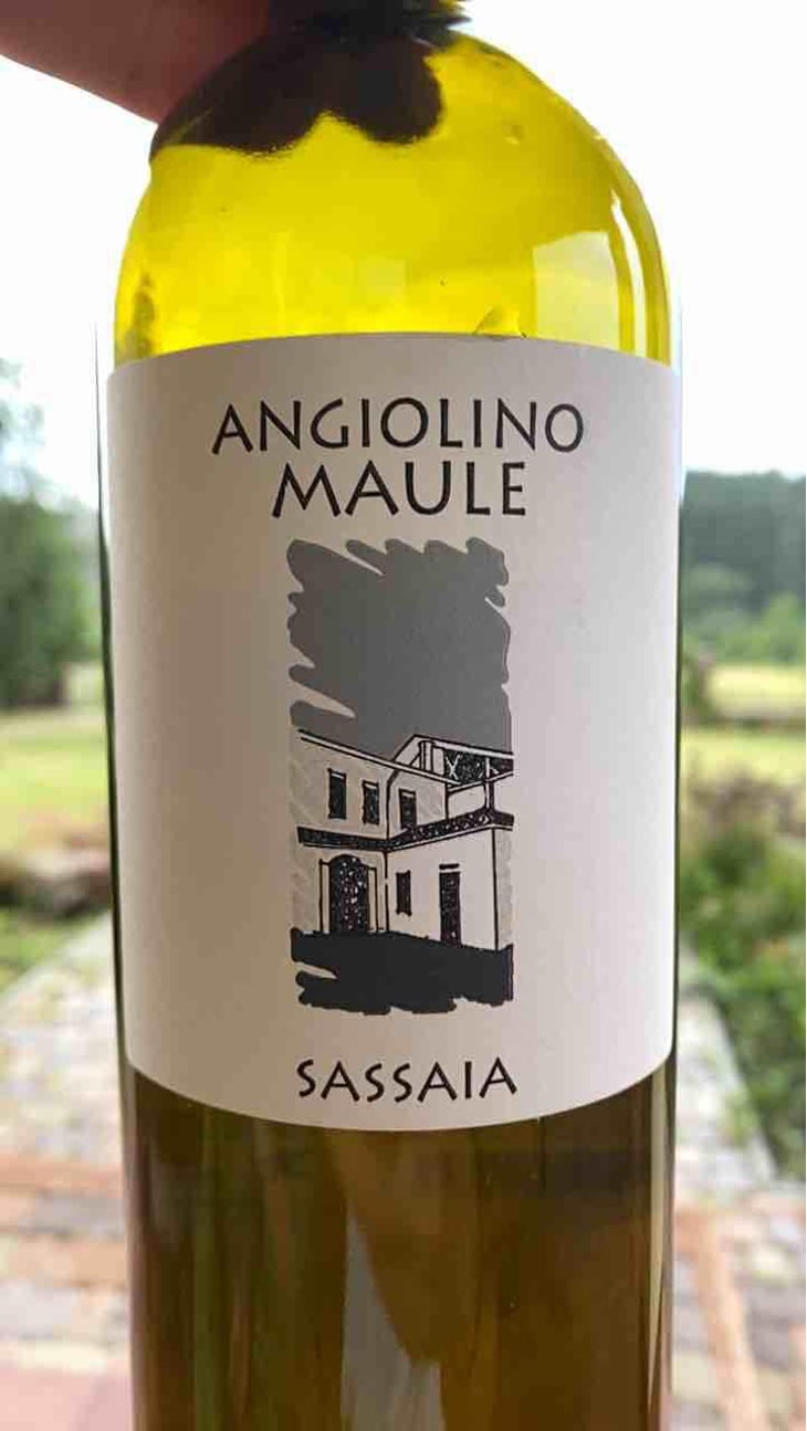 Sassaia - Azienda Agricola La Biancara - Angiolino Maule 