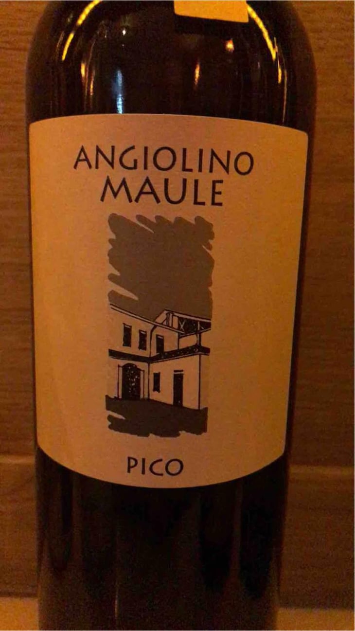 Sassaia - Azienda Agricola La Biancara - Angiolino Maule 