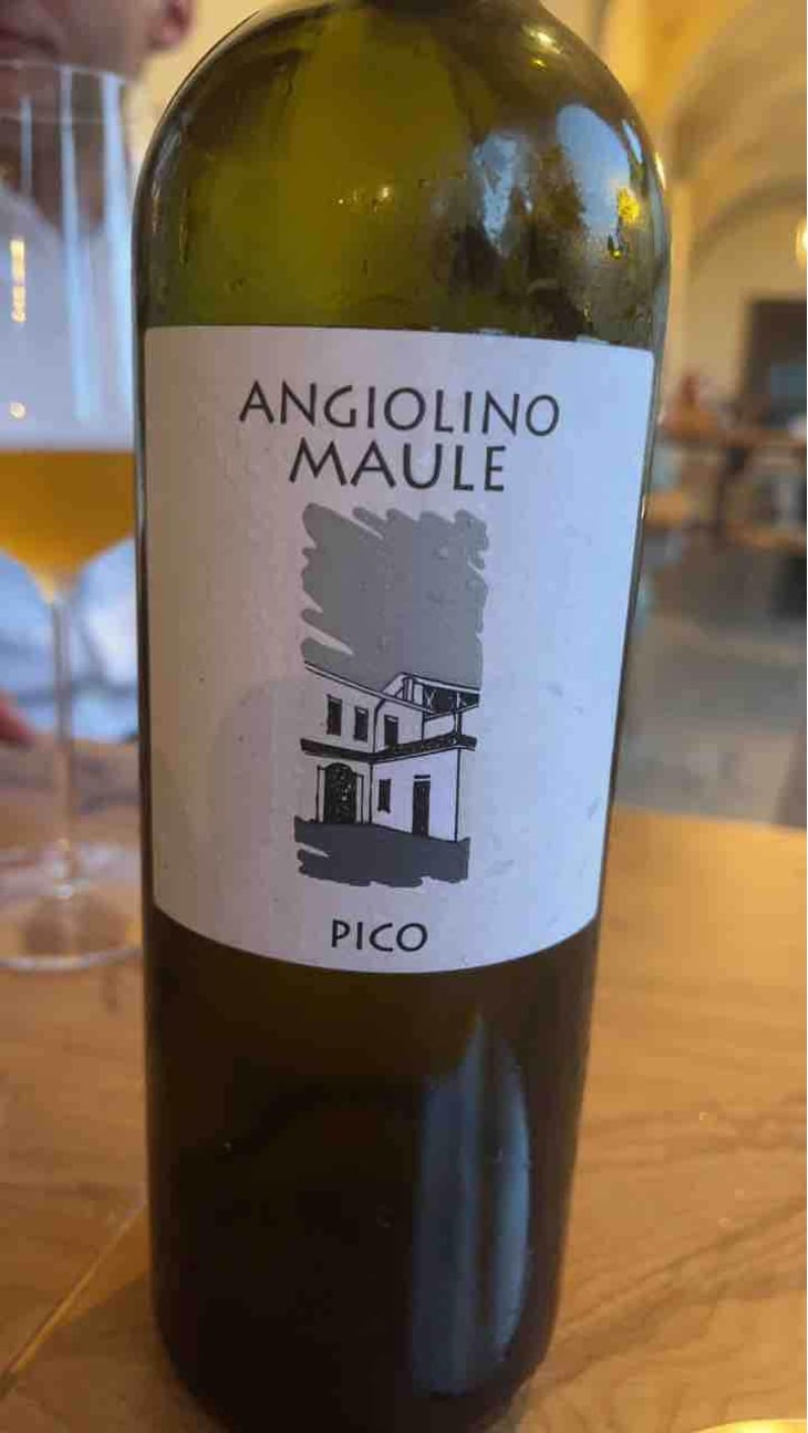 Sassaia - Azienda Agricola La Biancara - Angiolino Maule 