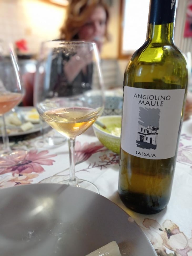 Sassaia - Azienda Agricola La Biancara - Angiolino Maule 