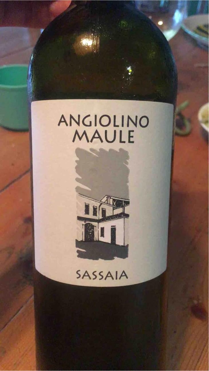 Sassaia - Azienda Agricola La Biancara - Angiolino Maule 
