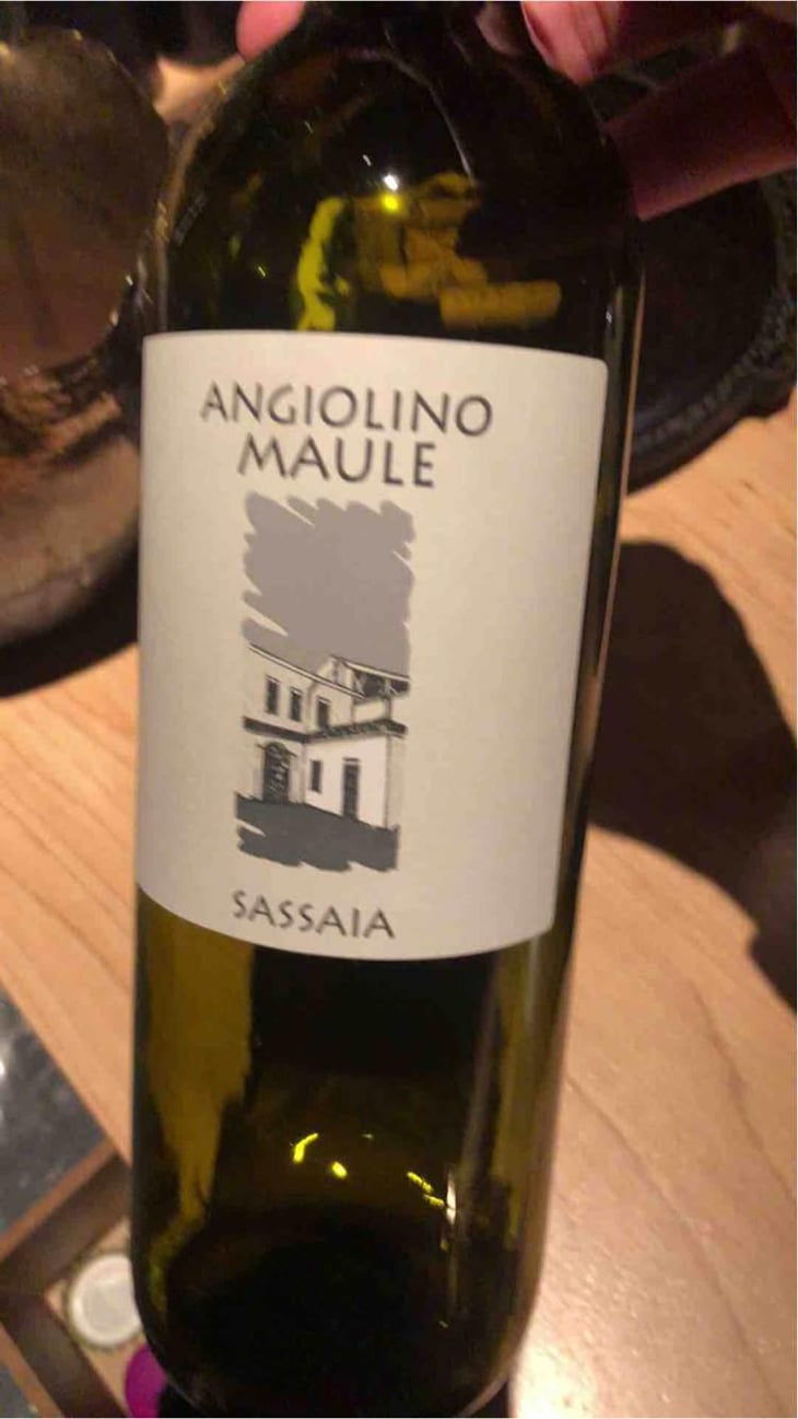 Sassaia - Azienda Agricola La Biancara - Angiolino Maule 