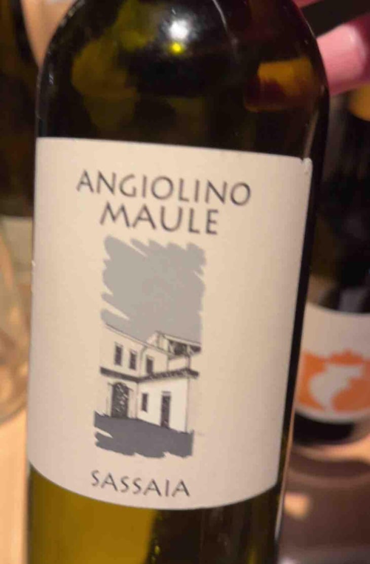 Sassaia - Azienda Agricola La Biancara - Angiolino Maule 